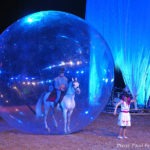 cheval dans une bulle