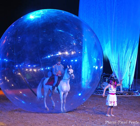 cheval dans une bulle